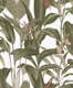 Tapet LOOKS by Wolfgang Joop Looks Tropical Leaves 121024