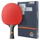 Pingisracket STIGA Sports Royal 3-star WRB