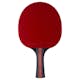Pingisracket STIGA Sports 5-star Prestige Carbon