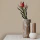 Tapet Superfresco Easy Lovi Beige