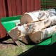 Vedklyv Kellfri 7 ton Eldriven