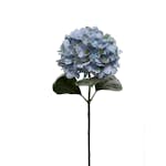 Konstväxt Fröken Fräken Hortensia 65 cm