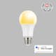LED-Lampa Smartline Flow E27