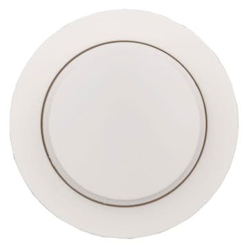 Ratt till Dimmer Schneider Electric Renova för Centrumplatta