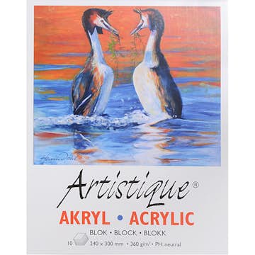 Akrylmålningsblock ABA Skol 10 Ark 24x30 cm
