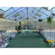 Växthus Lyfco Pro Classic 18m² Premium