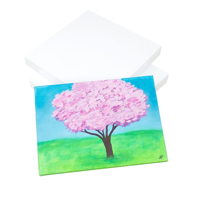 Målardukar ABA Skol 20x20x37 cm 5 st