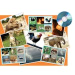 Ljudlotto ABA Skol Djur Djur Natur