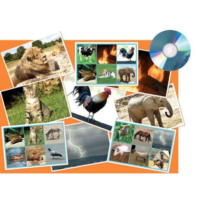 Ljudlotto ABA Skol Djur Djur Natur