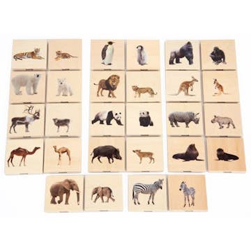 Spel ABA Skol Memo Vilda Djur