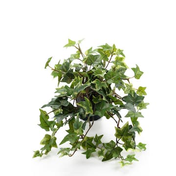 Konstväxt Fröken Fräken Murgröna Grön 30 cm