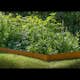 Kantskydd Skotte Garden 26x100 cm 4-pack