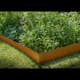Kantskydd Skotte Garden 26x100 cm 4-pack
