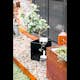 Blomlåda Skotte Garden Corten 80x40x40 cm, Växtlåda, Utomhuskruka