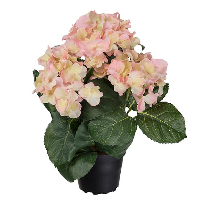 Konstväxt Fröken Fräken Hortensia 30 cm