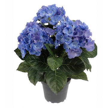 Konstväxt Fröken Fräken Hortensia 30 cm
