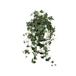 Konstväxt Fröken Fräken Murgröna Grön Hängande 75 cm