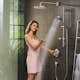 Duschblandare Hansgrohe ShowerSelect S 2-utlopp Knopp