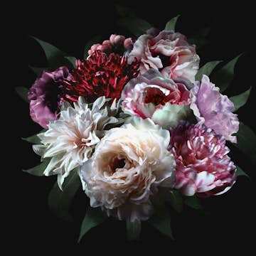 Fototapet ESTAhome Stilleben med Blommor Mångfärgat På Svart