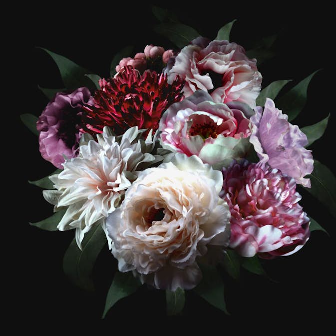 Fototapet ESTAhome Stilleben med Blommor Mångfärgat På Svart