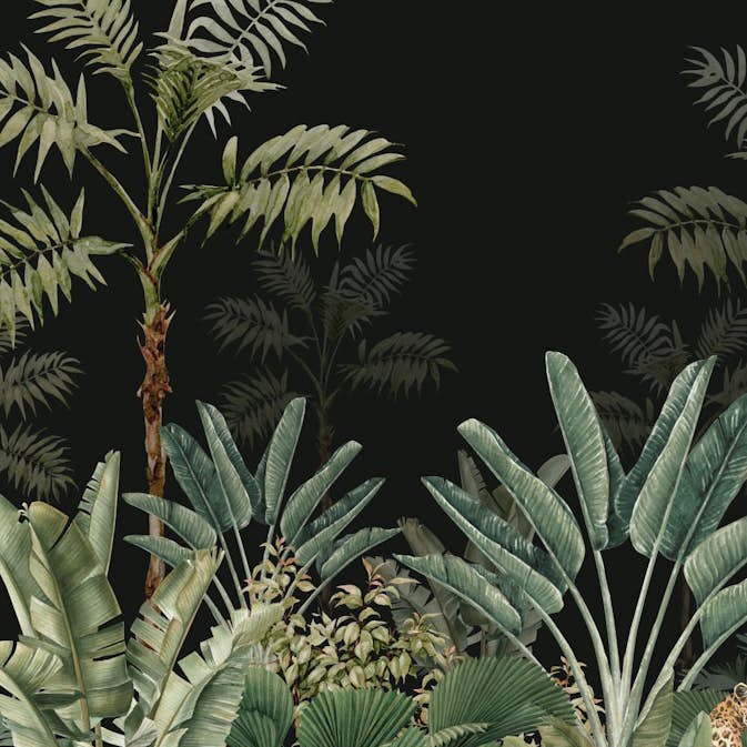 Fototapet ESTAhome Djungel Svart/Grå/Grön