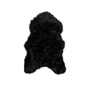 Konstfäll Venture Home Katy