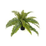 Konstväxt Fröken Fräken Ormbunke 30 cm Grön