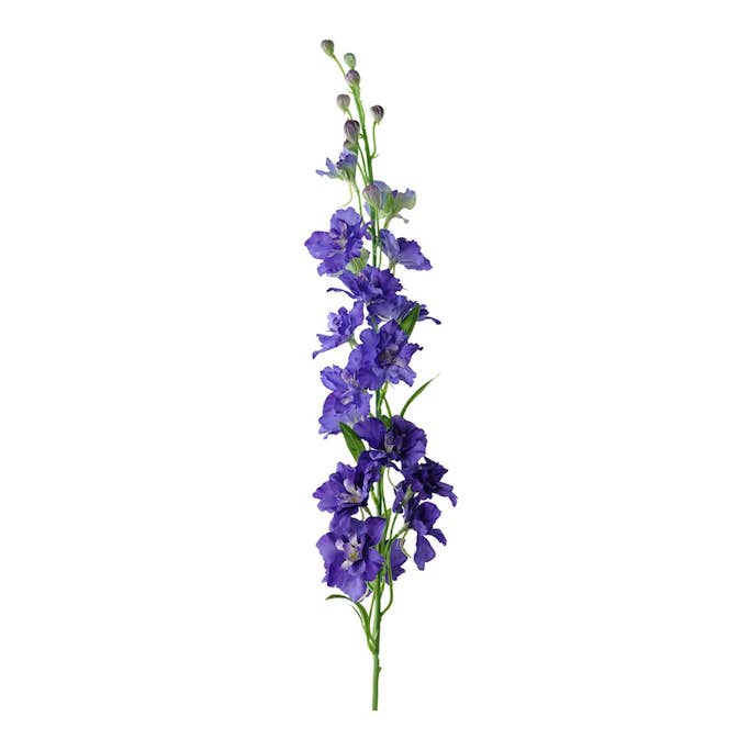 Konstväxt Fröken Fräken Delphinium