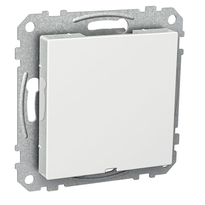 Centrumplatta Schneider Electric Exxact