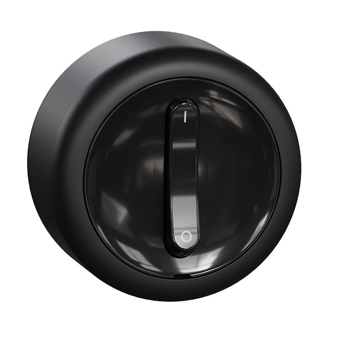 Strömbrytare Schneider Electric Renova 2-pol