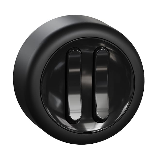 Strömbrytare Schneider Electric Renova Kron Utanpåliggande