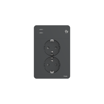 Vägguttag Schneider Electric Exxact Primo Infälld 2-vägs 2x USB A+C Jordat