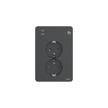 Vägguttag Schneider Electric Exxact Primo Infälld 2-vägs 2x USB A+C Jordat