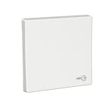 Strömbrytare Schneider Electric Exxact Nyckelsymbol