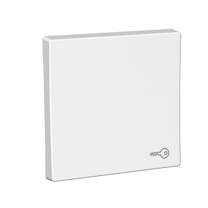 Strömbrytare Schneider Electric Exxact Nyckelsymbol