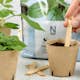 Såjord Nelson Garden Premium 4L - Allsidig för Optimal Odling, Premiumjord