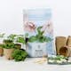 Såjord Nelson Garden Premium 4L - Allsidig för Optimal Odling, Premiumjord