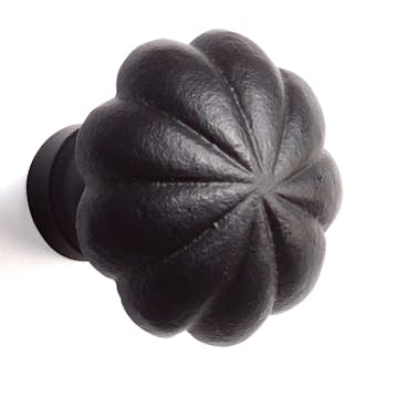 Knopp Habo Leo Smide