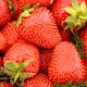 Jordgubbe Omnia Garden Fragaria Ananassa Sonata