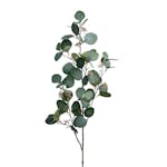 Konstväxt Fröken Fräken Eucalyptus med bär Grön