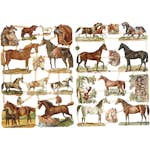 Bokmärken Creativ Company Hästar 165x235 cm 2 Ark/1 Förp