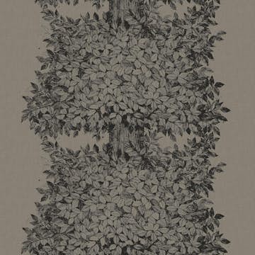 Tapet Boråstapeter Viola Gråsten Hassel 1951