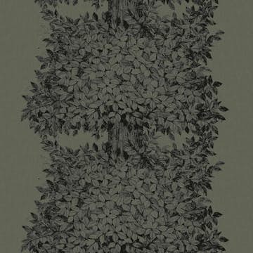 Tapet Boråstapeter Viola Gråsten Hassel 1952