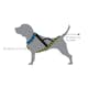 Drag-/kombisele Kennel Equip Nome Active