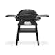 Gasolgrill Weber Q2200N Med Ställning