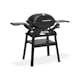 Gasolgrill Weber Q2200N Med Ställning