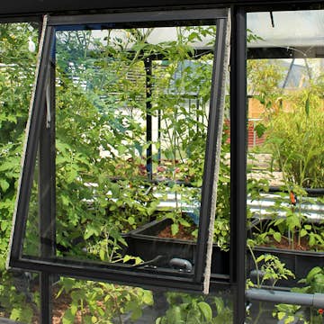 Sidofönster Vitavia till Helena utan Glas