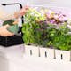Hydroponisk Odling RobotGarden Odlingslådor Med Växtlampa & Startkit för Hemmaodling