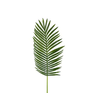 Konstväxt Fröken Fräken Palmblad Grön