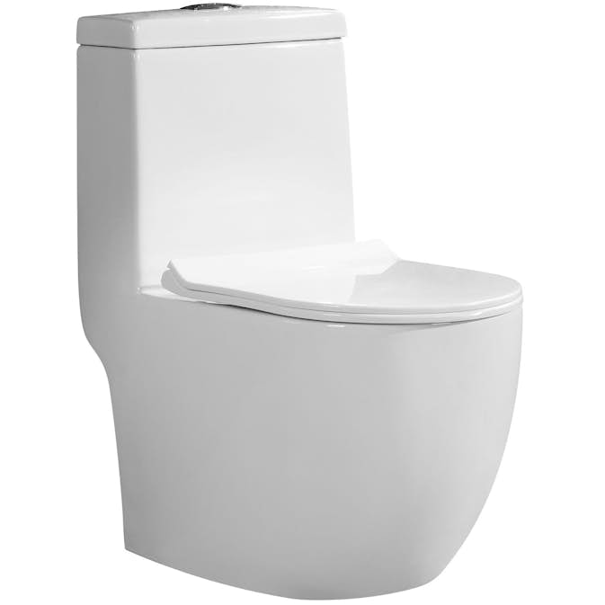 Toalettstol Lyfco 01